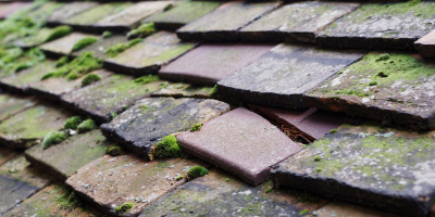 Fenton roof repair costs